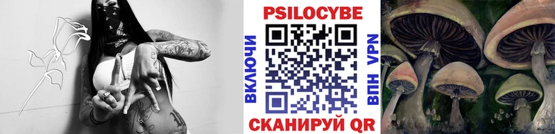 Купить закладки  Городовиковск  Псилоцибиновые грибы Magic Shrooms 