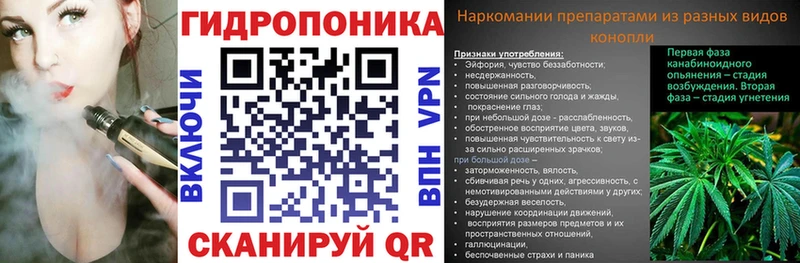 Шишки марихуана планчик  Купить где  Городовиковск 